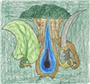 DimpleMurnigKu's avatar
