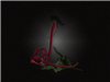 Laerwynn's avatar