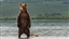 Matrem_Ursus's avatar