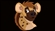 Sennith13's avatar