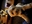 Lordbachus's avatar