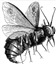 Nag1ma's avatar