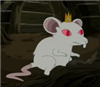 AbsoClueless's avatar