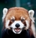 maryKFCjane's avatar