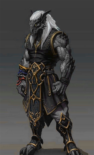 Draconic Fighter Dragonborn+Dragonchilde Only Image