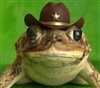 Bigre's avatar