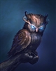 hallryu's avatar