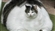 Sus_boy_1000000's avatar