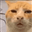 noahmlaura02's avatar