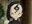 gaisterson's avatar