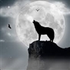 TheUrbanApache's avatar