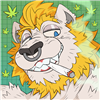 North795's avatar