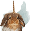 DracaenaVervain's avatar