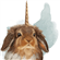 DracaenaVervain's avatar