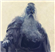 thodgsonscott's avatar