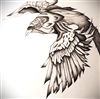 LindorBrowneye's avatar