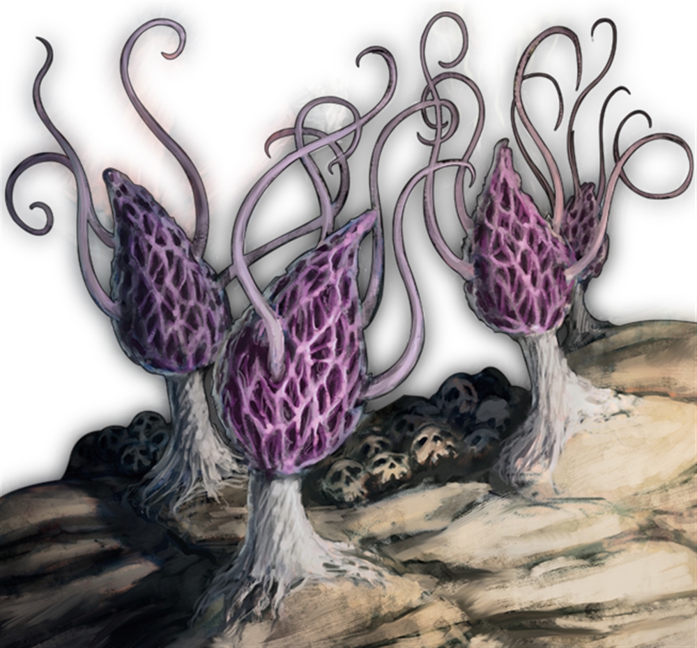 Фіолетовий гриб