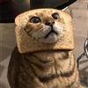 CoolDuck7211's avatar