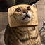 CoolDuck7211's avatar