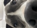 AbsoluteFailure's avatar