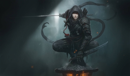 Ninja Image