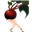 Jake_Neekrom's avatar