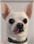 Nemiroff_89's avatar
