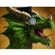 UltraWizard's avatar