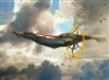 bbachelor1's avatar