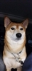 CaseyMaupin's avatar