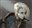 TheFool13's avatar
