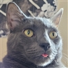 ReadingRobert's avatar
