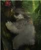 Valnero's avatar