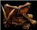 Khellion's avatar