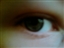 Eltonshane's avatar