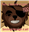 JollyTamale's avatar