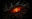 Seelygoose's avatar