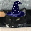 Masoneer's avatar