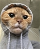 harveydentsdad's avatar