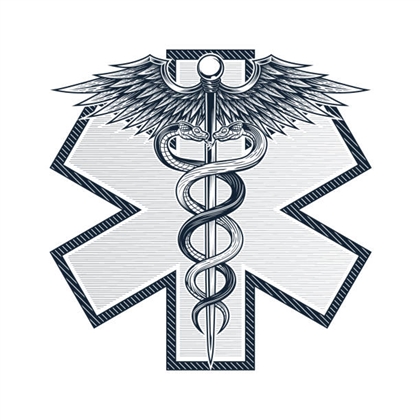 Oath Of The Hospitaller Image