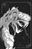 Fatalis2007's avatar