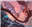 D00M5KULL's avatar