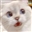 Ginnomme's avatar