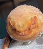 ThatDarnJess's avatar
