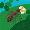 Atnotom's avatar