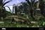 Desmatosuchus's avatar