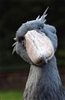 LakeSideMason's avatar