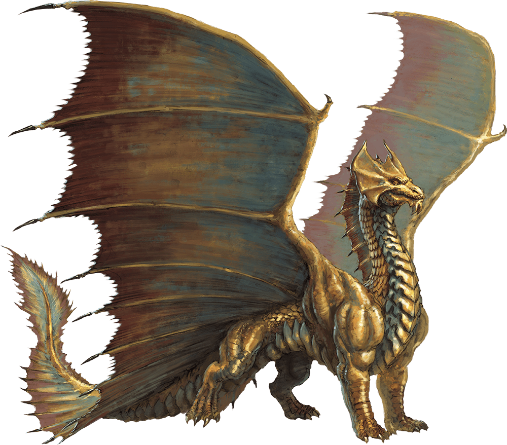 software give jeans Adult Brass Dragon - Monsters - D&D Beyond