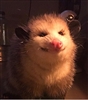 Ezrraa's avatar