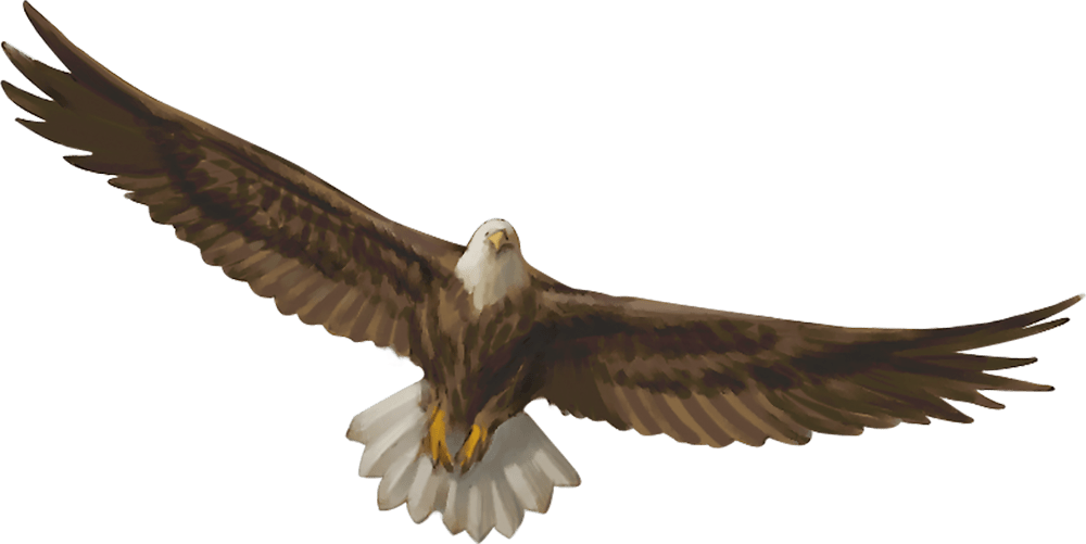 str marketplace eagles